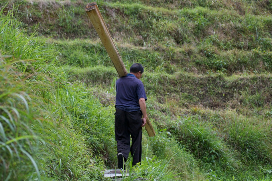 A worker carrying some wood back to the village.